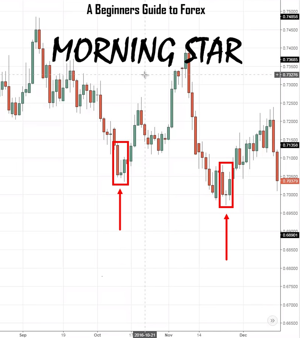 Morning Star: A Beginners Guide to Forex Trading with Community Support